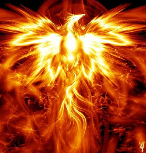 phoenix